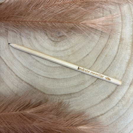 leukste meester potlood