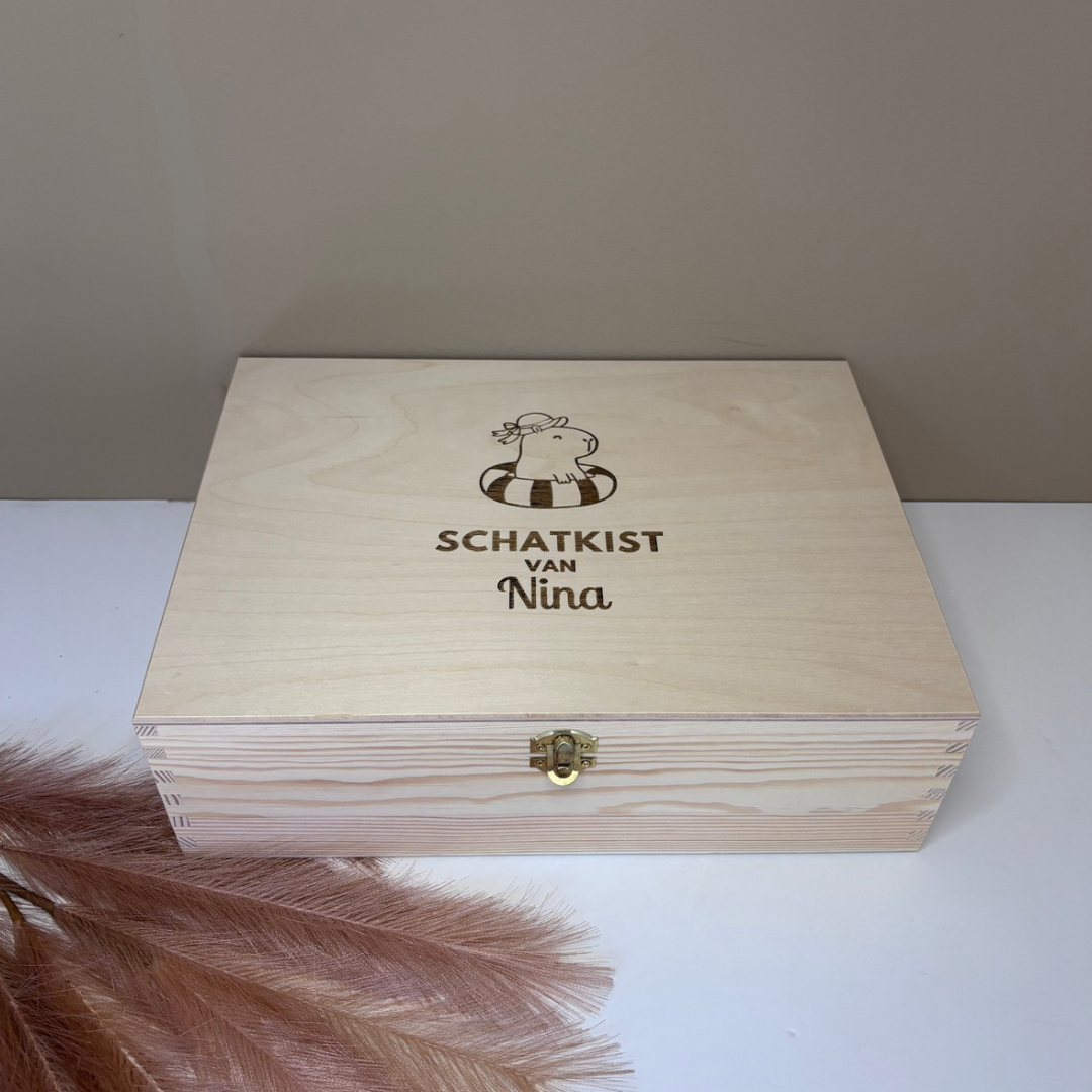 schatkist schatkist