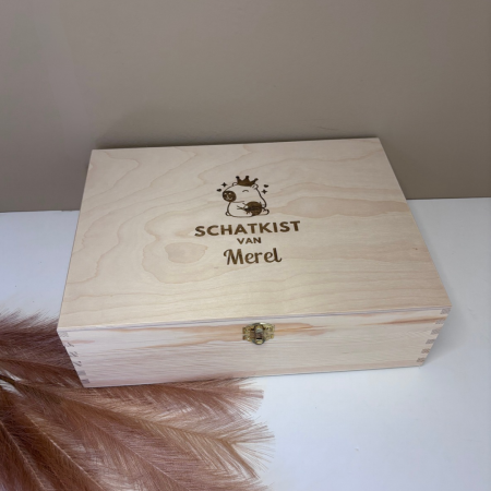 schatkist