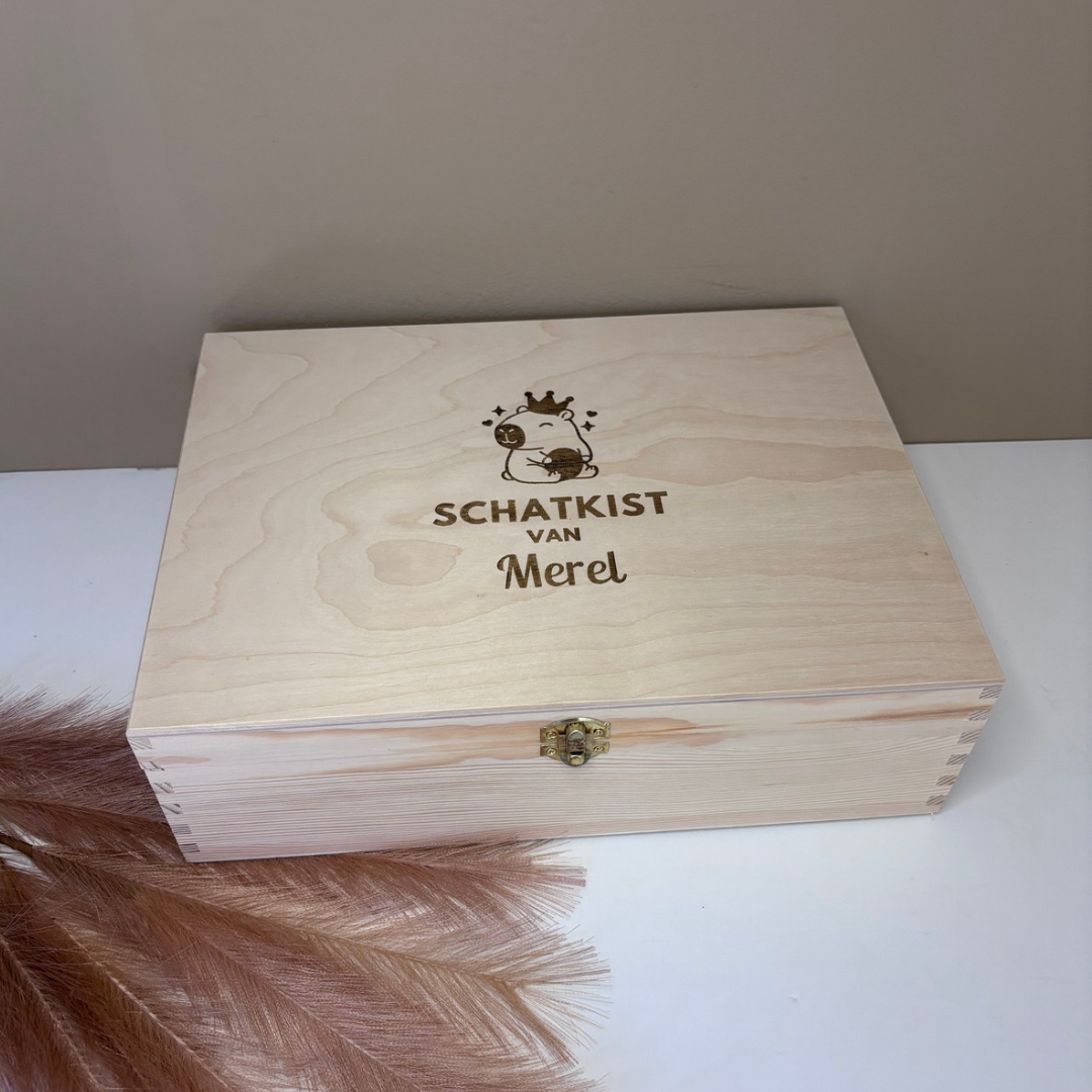 schatkist3 schatkist